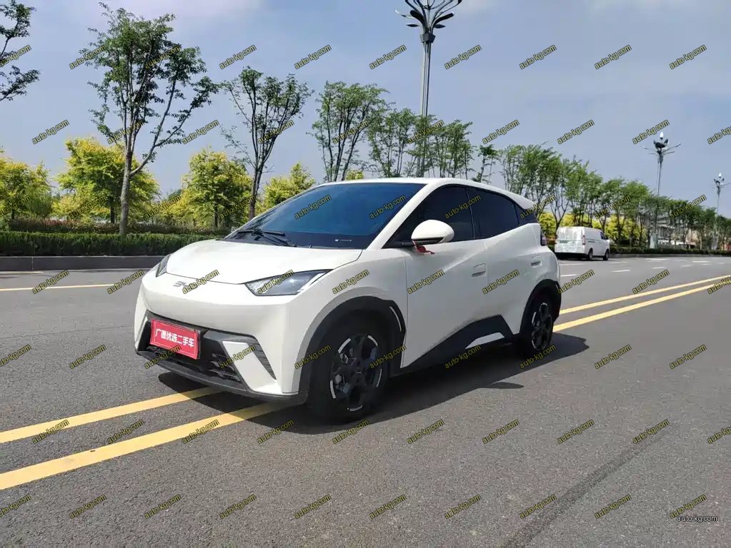 BYD Seagull 2025