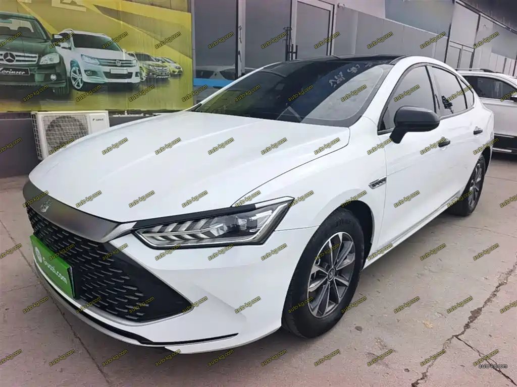 BYD Qin PLUS 2024