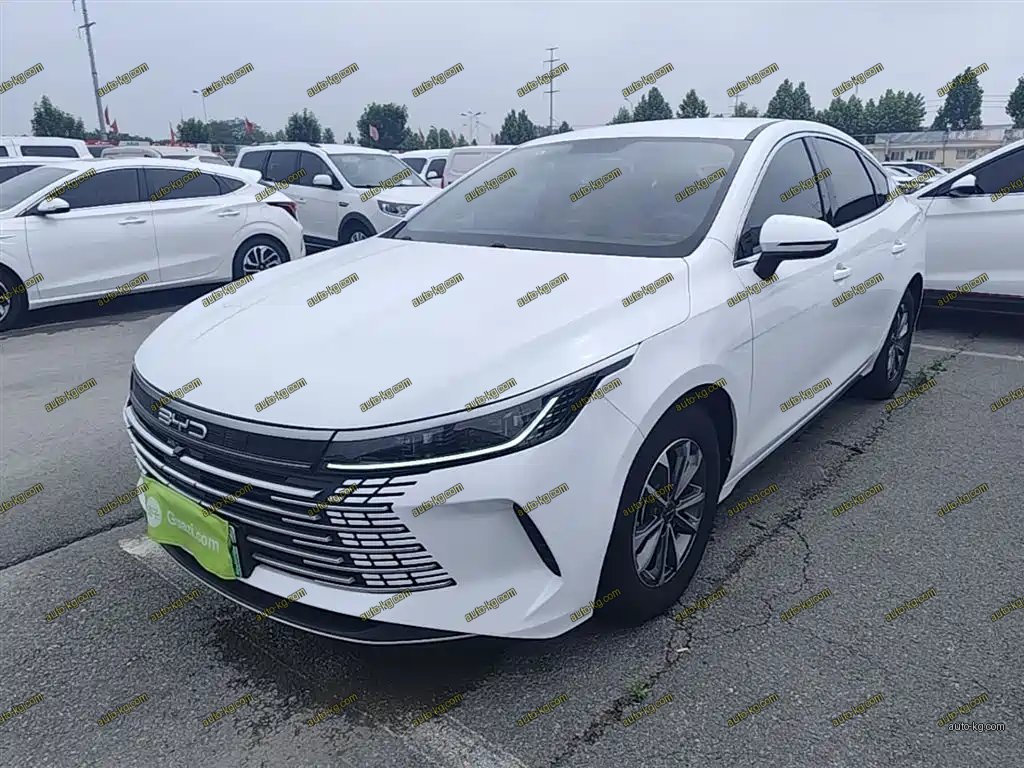 BYD Destroyer 05 2023