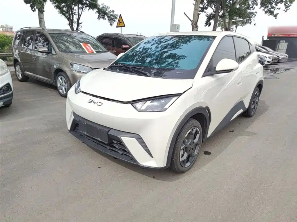 BYD Seagull 2024