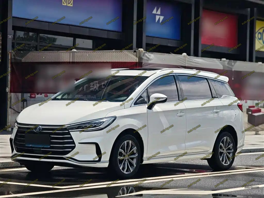 BYD MAX 2021