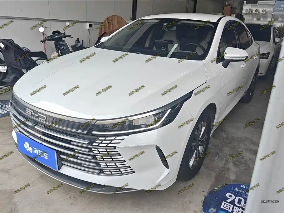 BYD Destroyer 05 2024