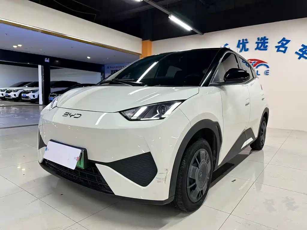 BYD Seagull 2025