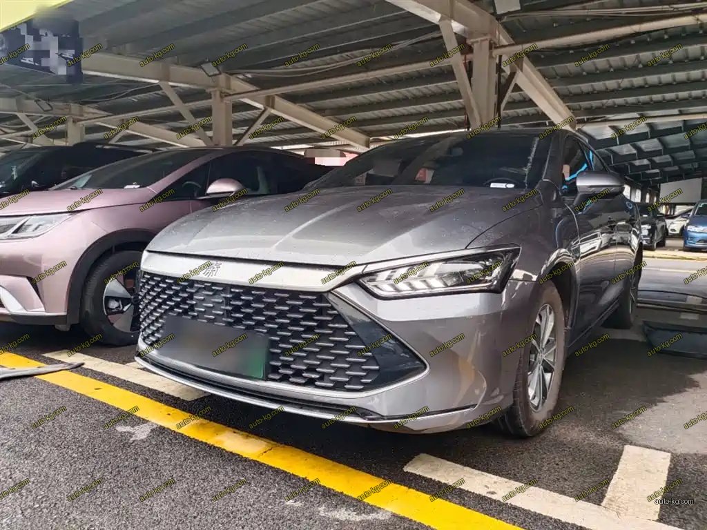 BYD Qin PLUS 2024