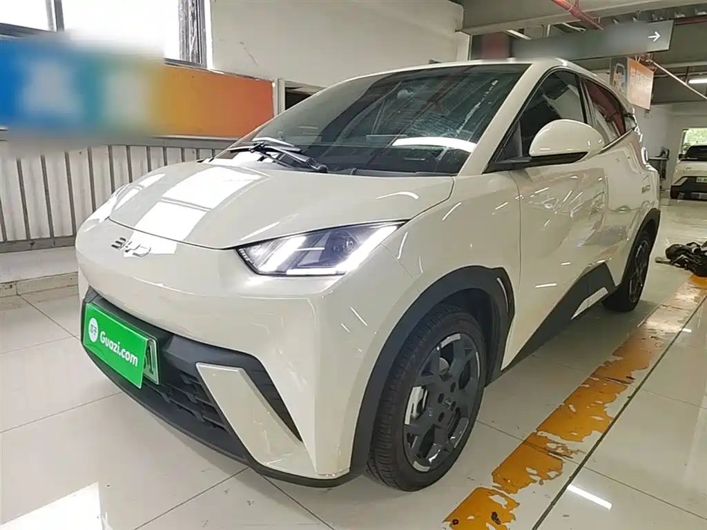 BYD Seagull 2024