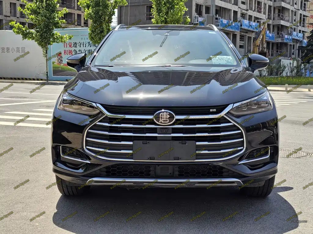 BYD Tang 2019