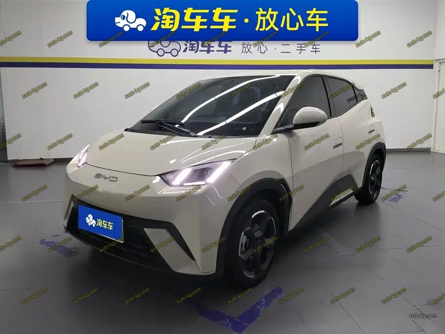 BYD Seagull 2024