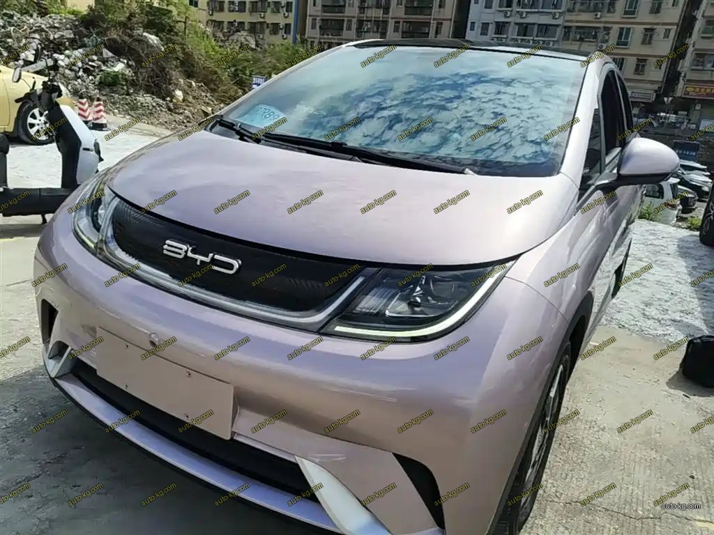 BYD Dolphin 2022
