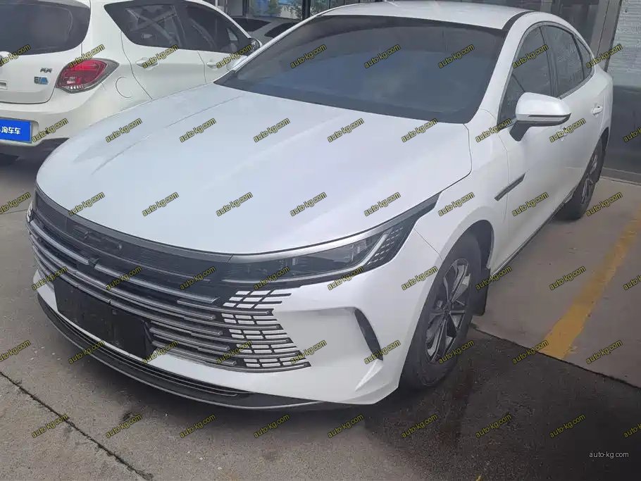 BYD Destroyer 05 2024