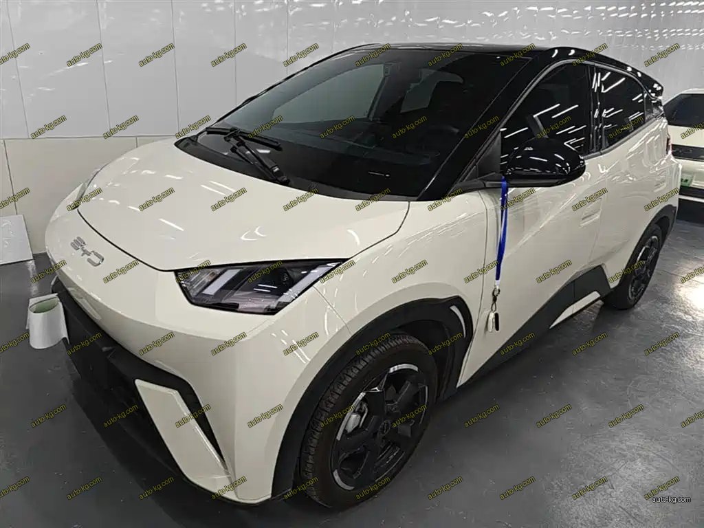 BYD Seagull 2024