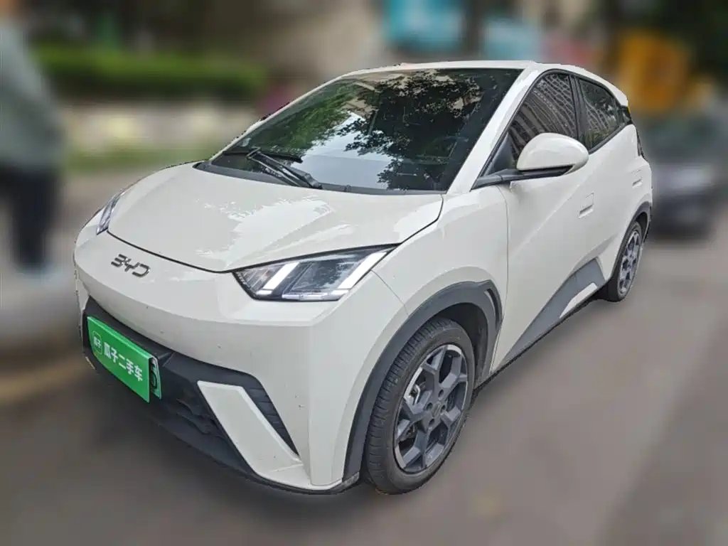 BYD Seagull 2024