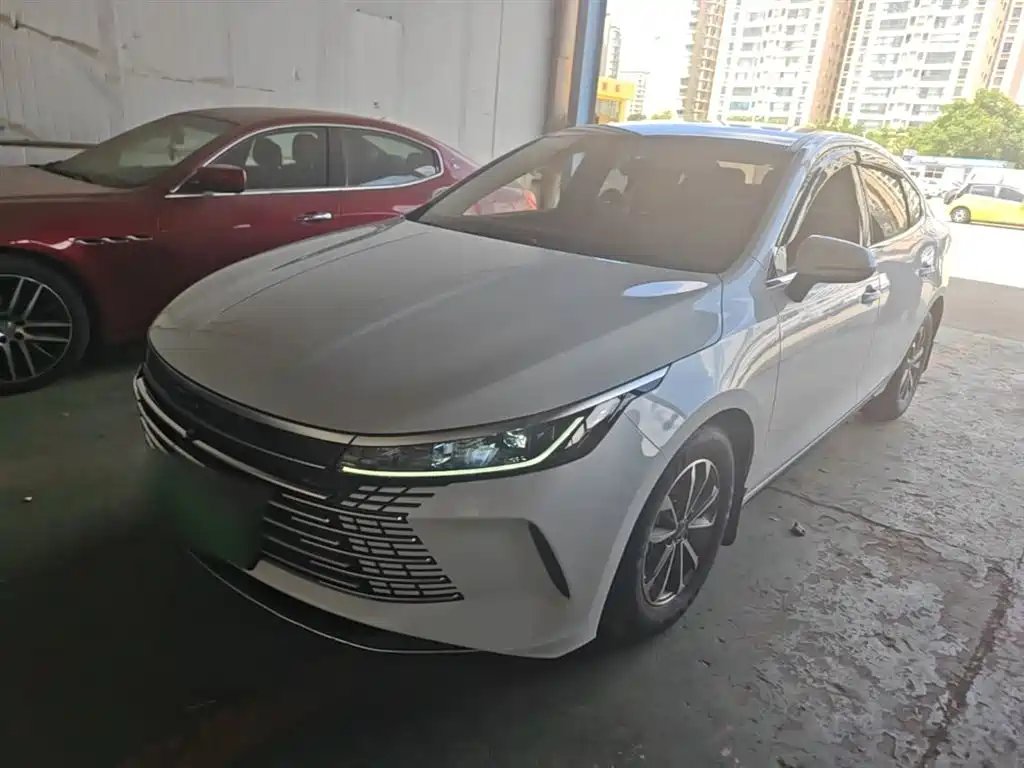 BYD Destroyer 05 2024