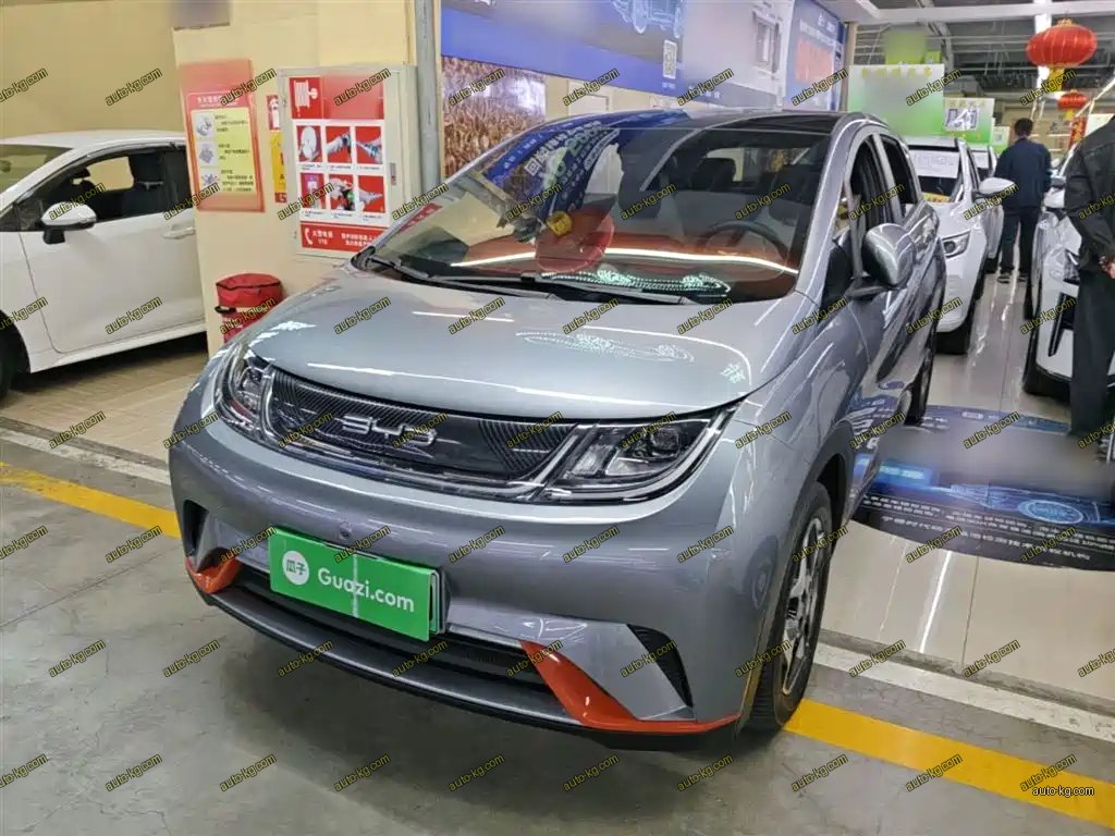 BYD Dolphin 2022
