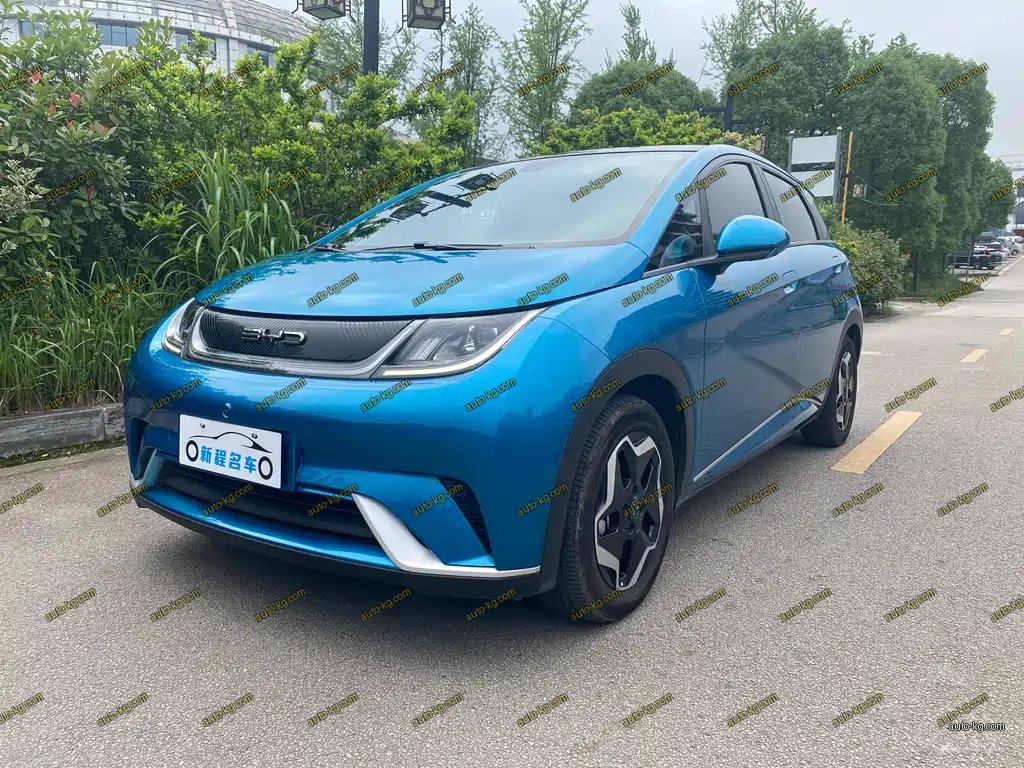 BYD Dolphin 2022