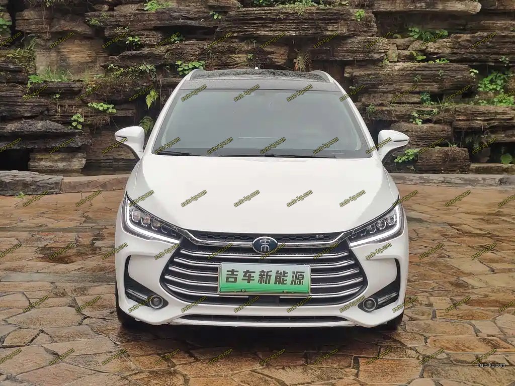 BYD MAX New Energy 2020