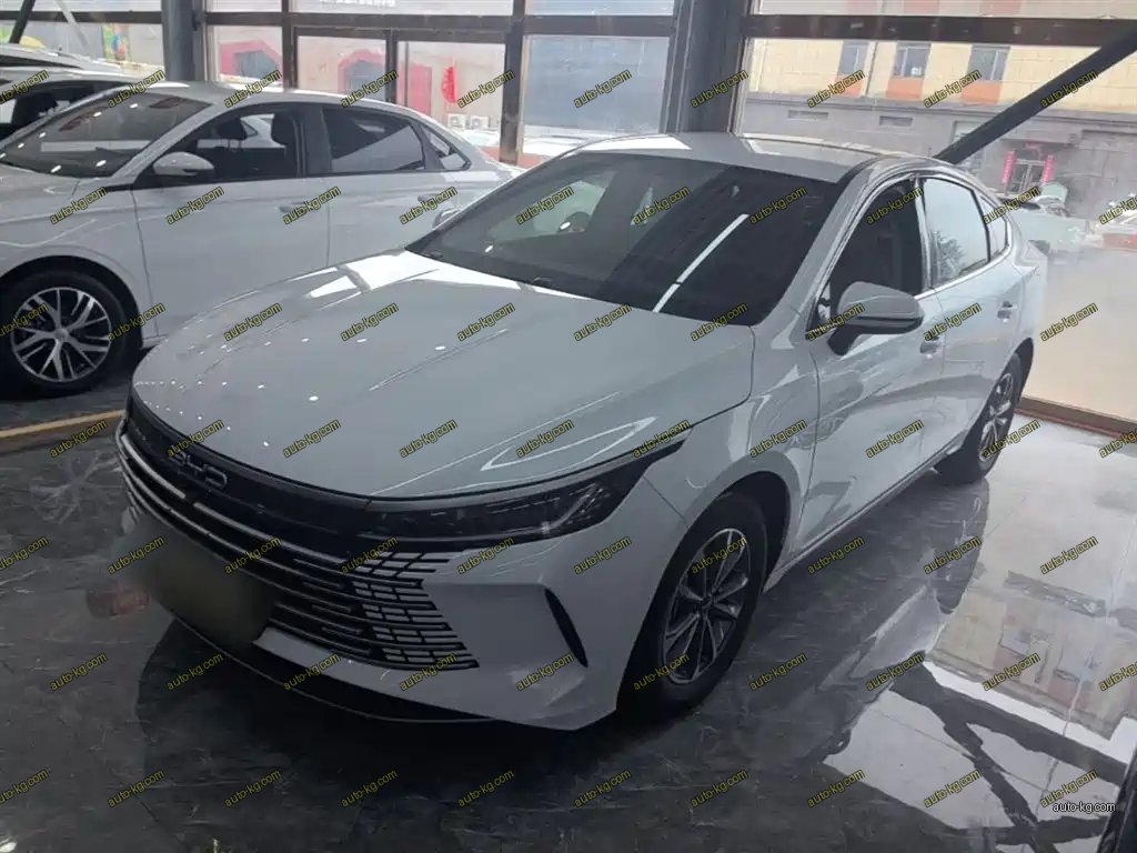 BYD Destroyer 05 2024