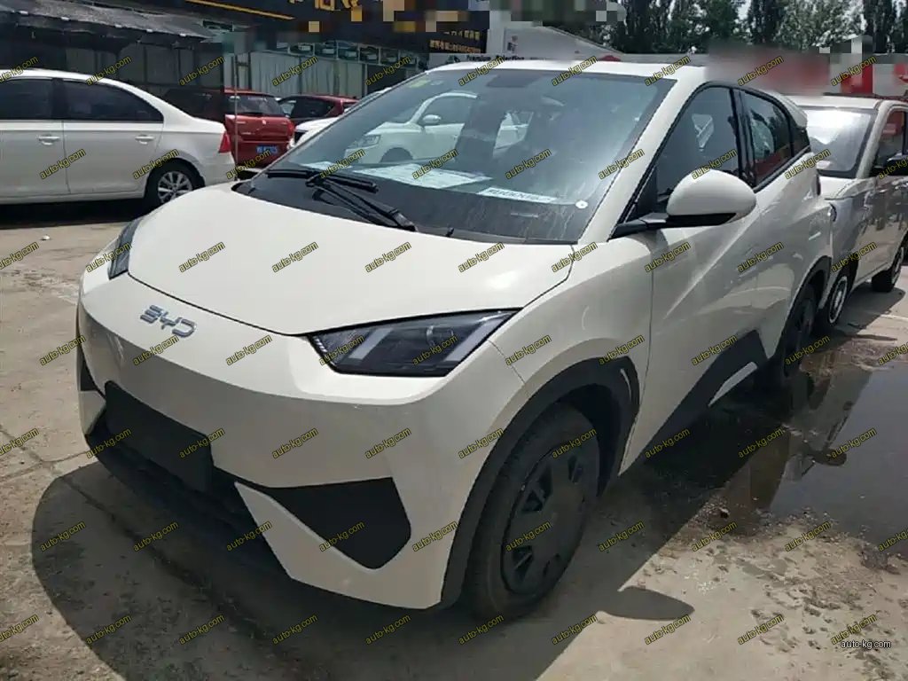 BYD Seagull 2026
