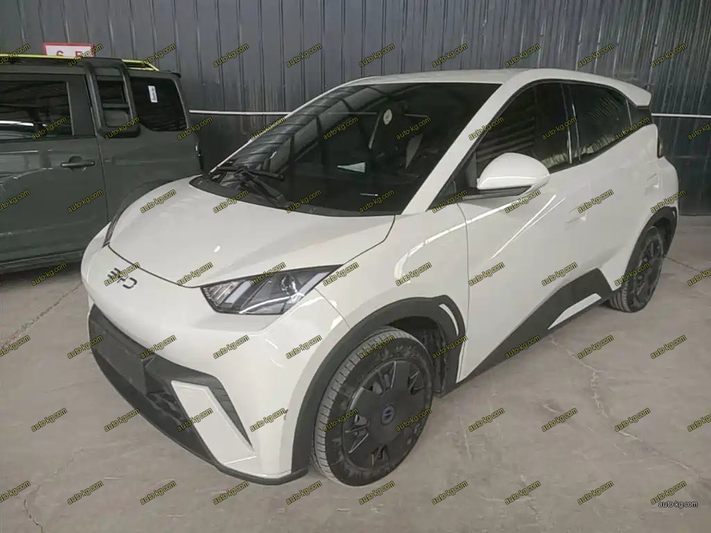BYD Seagull 2024