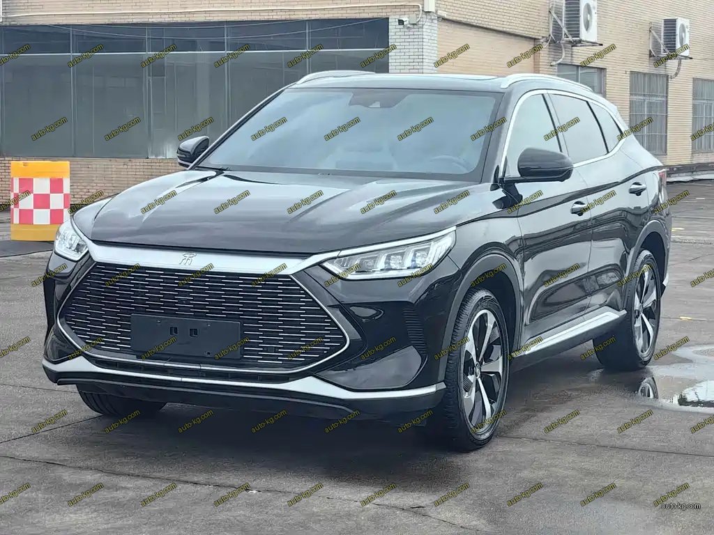 BYD PLUS New Energy 2022