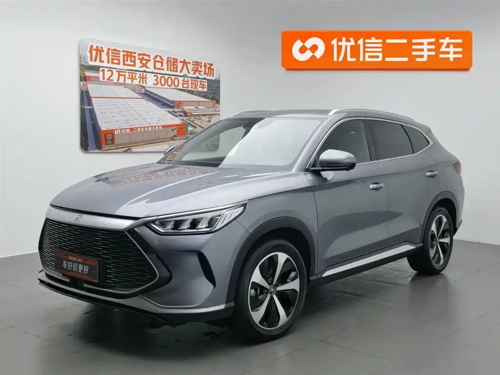 BYD PLUS New Energy 2021