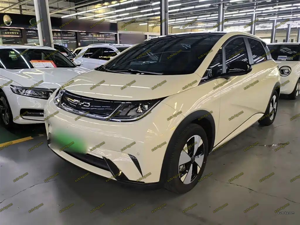 BYD Dolphin 2023