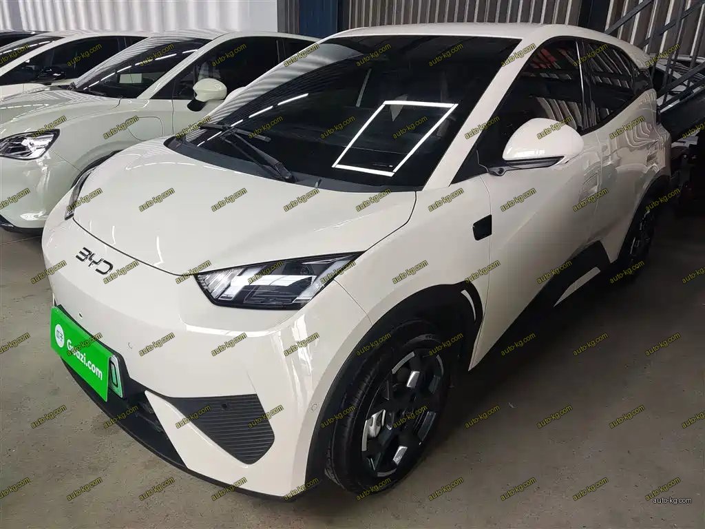 BYD Seagull 2025