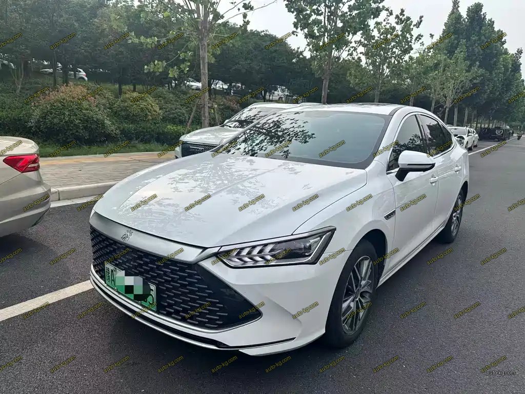 BYD Qin PLUS 2024