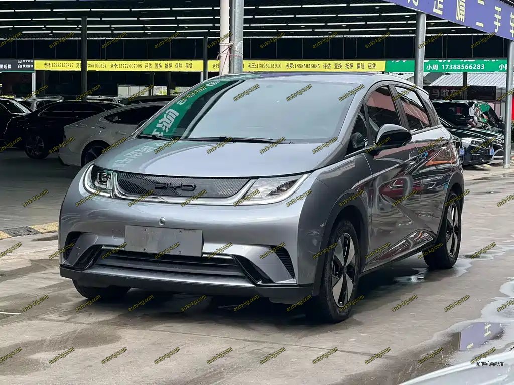 BYD Dolphin 2024