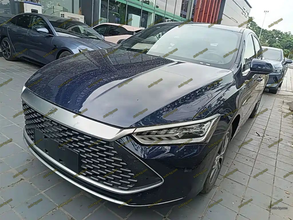 BYD Qin PLUS 2024