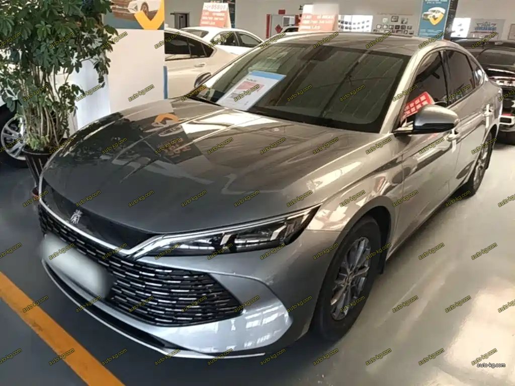 BYD Qin L 2024