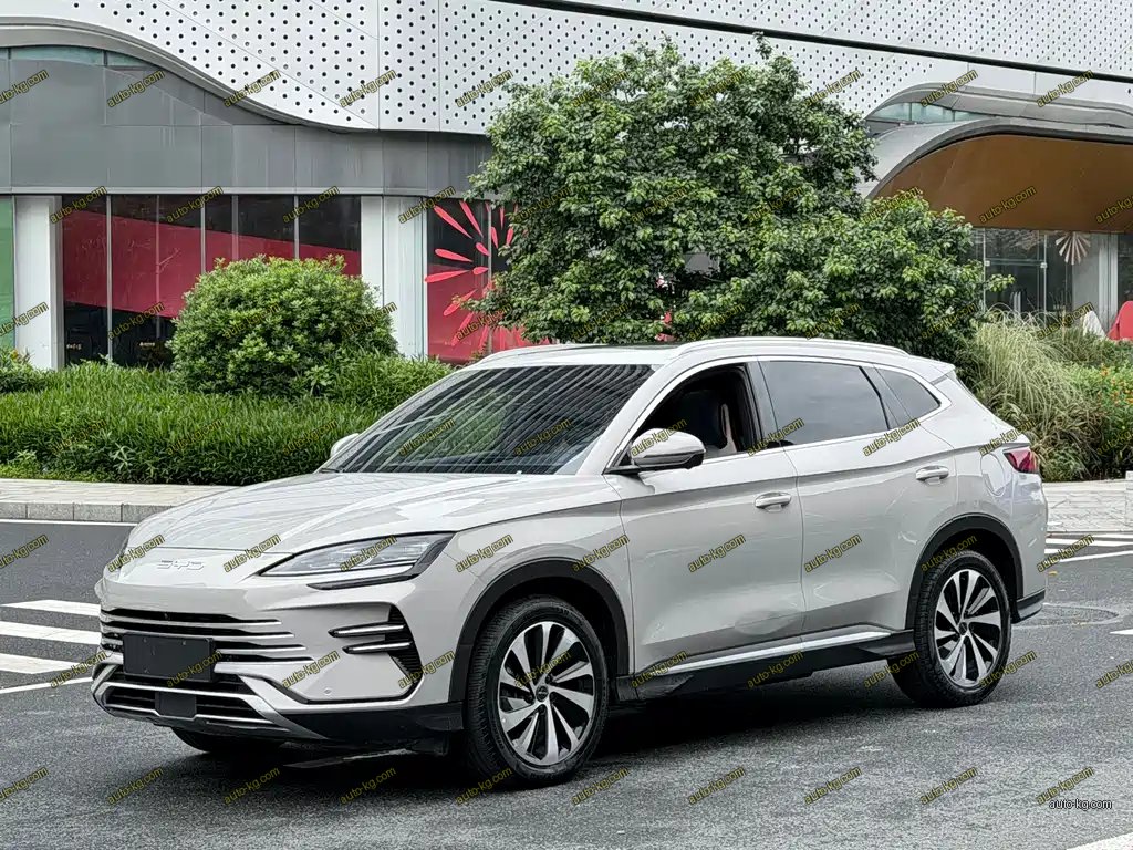 BYD PLUS New Energy 2023