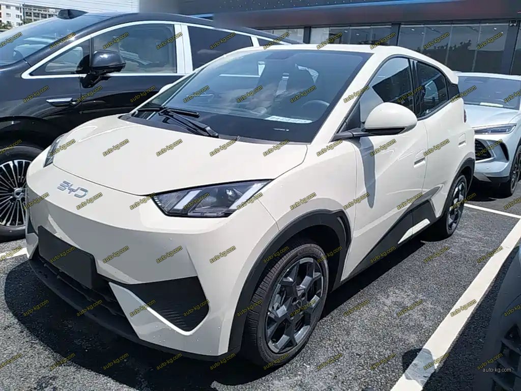 BYD Seagull 2025