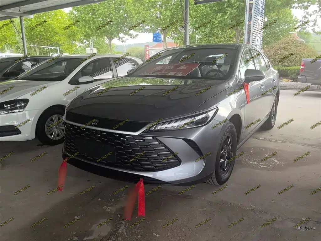 BYD Qin PLUS 2026