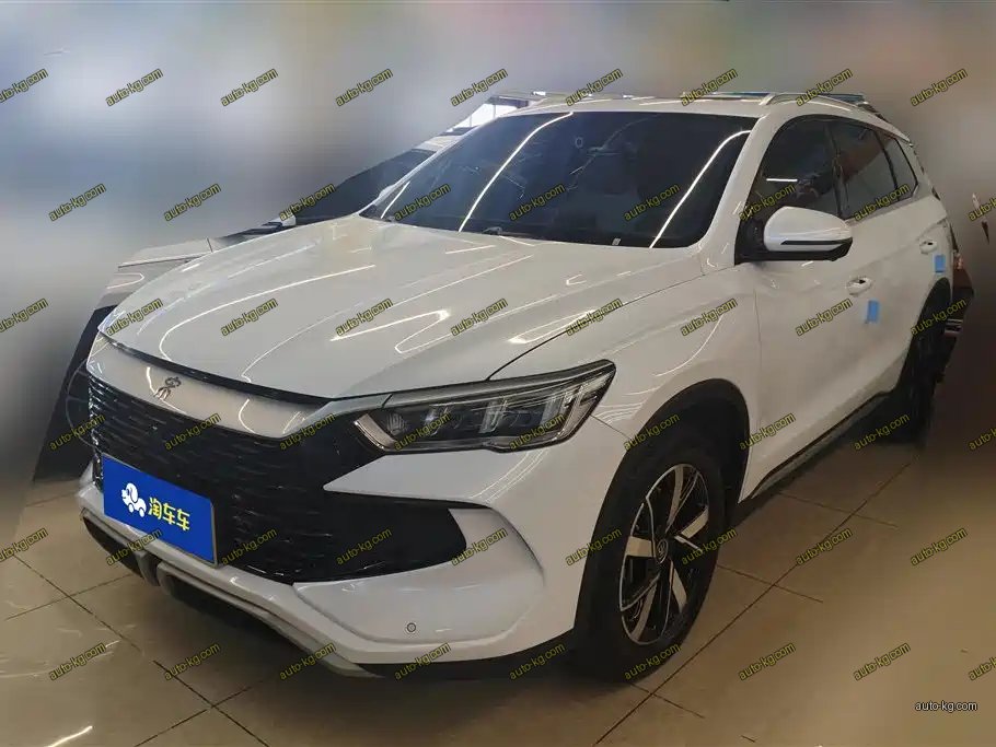BYD Pro New Energy 2024