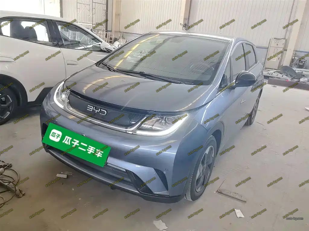 BYD Dolphin 2024