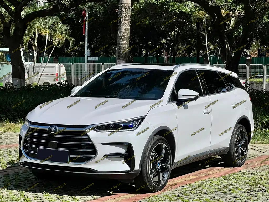 BYD Tang New Energy 2021