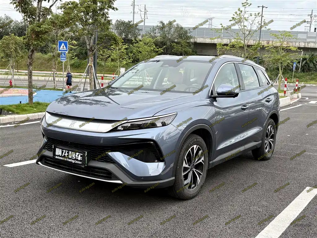 BYD Pro New Energy 2024