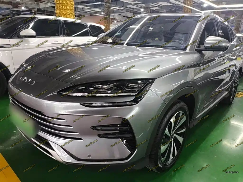 BYD PLUS New Energy 2024