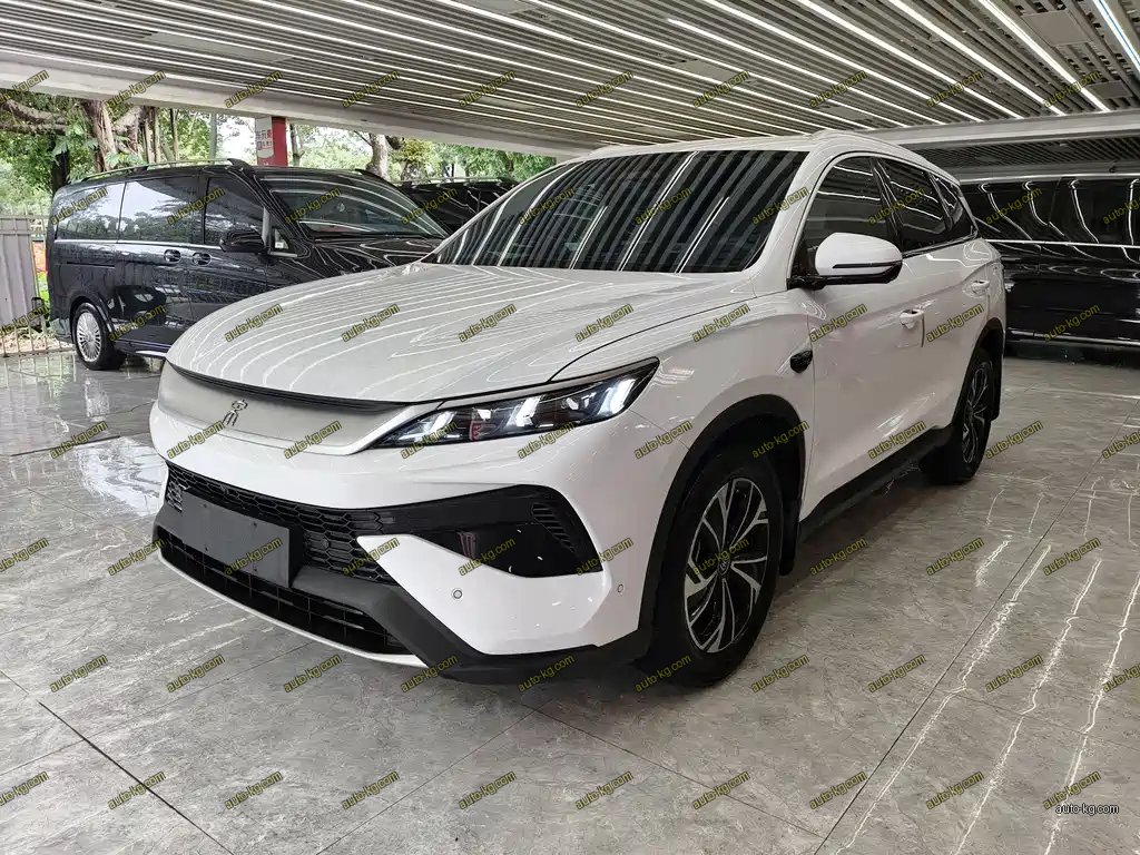 BYD Pro New Energy 2025