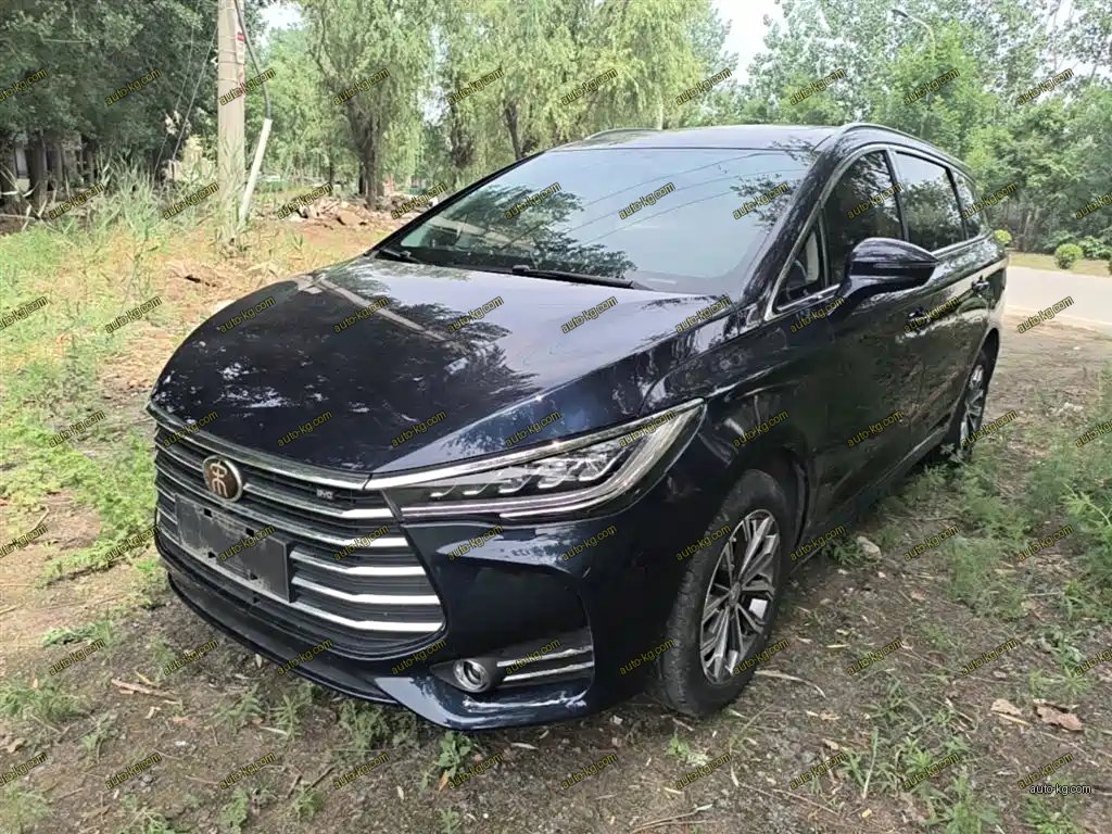 BYD MAX 2019