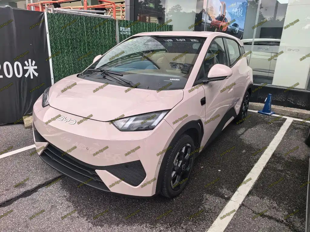 BYD Seagull 2025