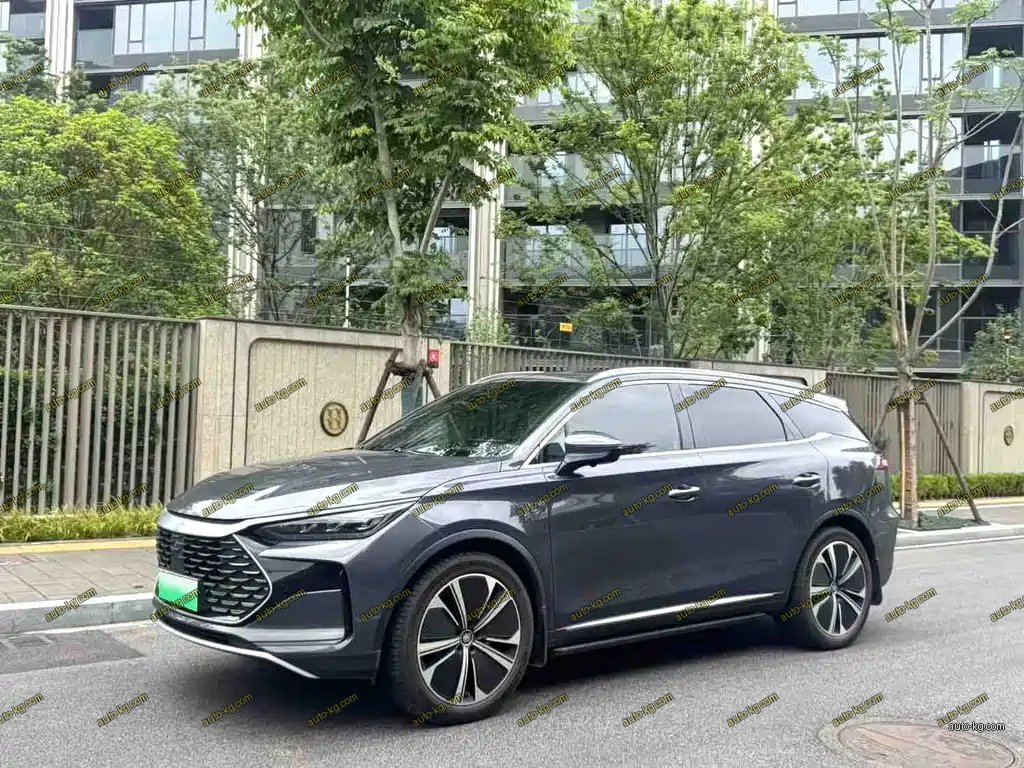 BYD Tang New Energy 2022
