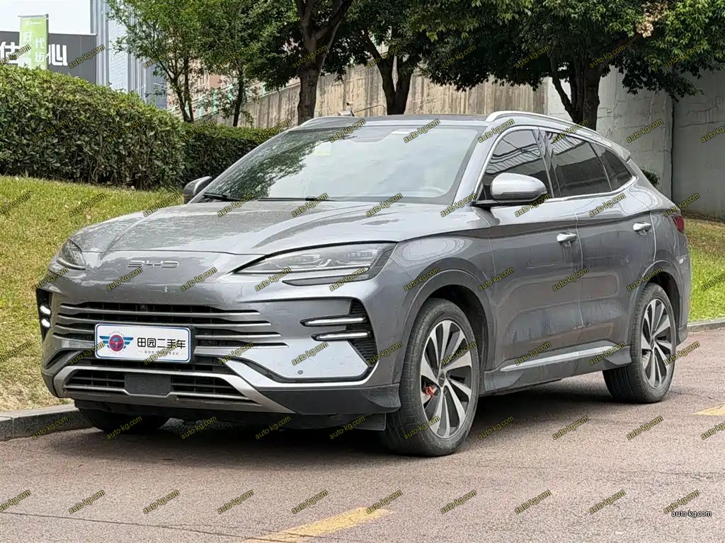 BYD PLUS New Energy 2024