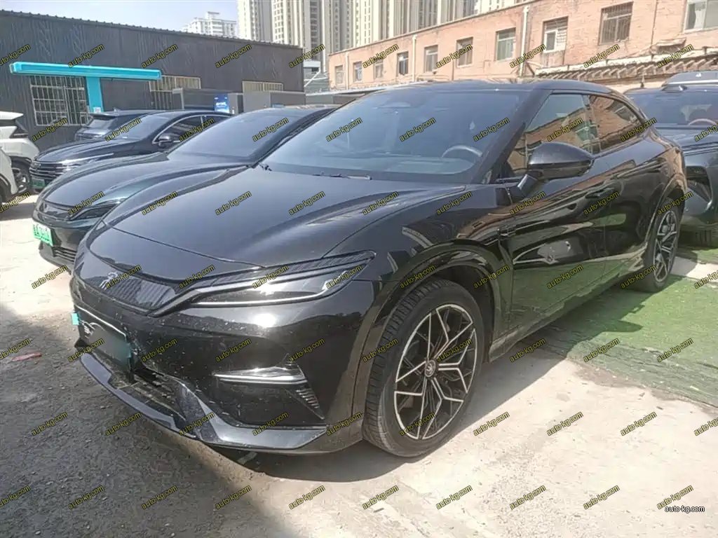 BYD L EV 2024