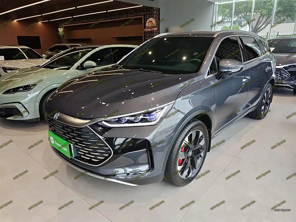 BYD Tang New Energy 2024