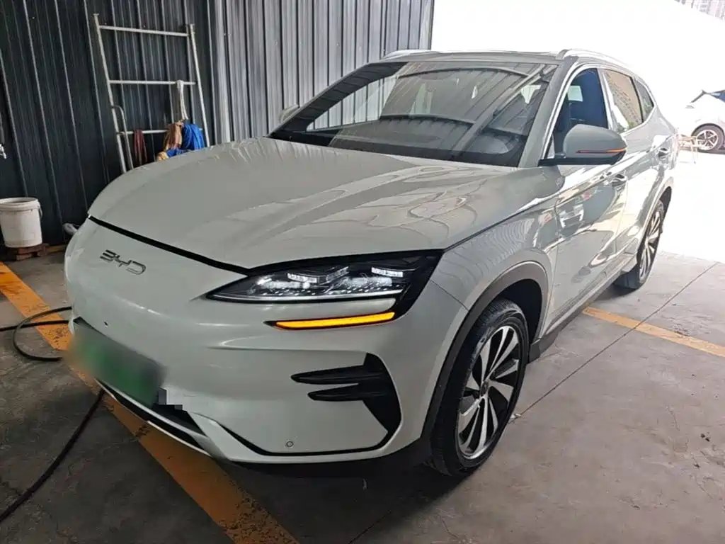 BYD PLUS New Energy 2024
