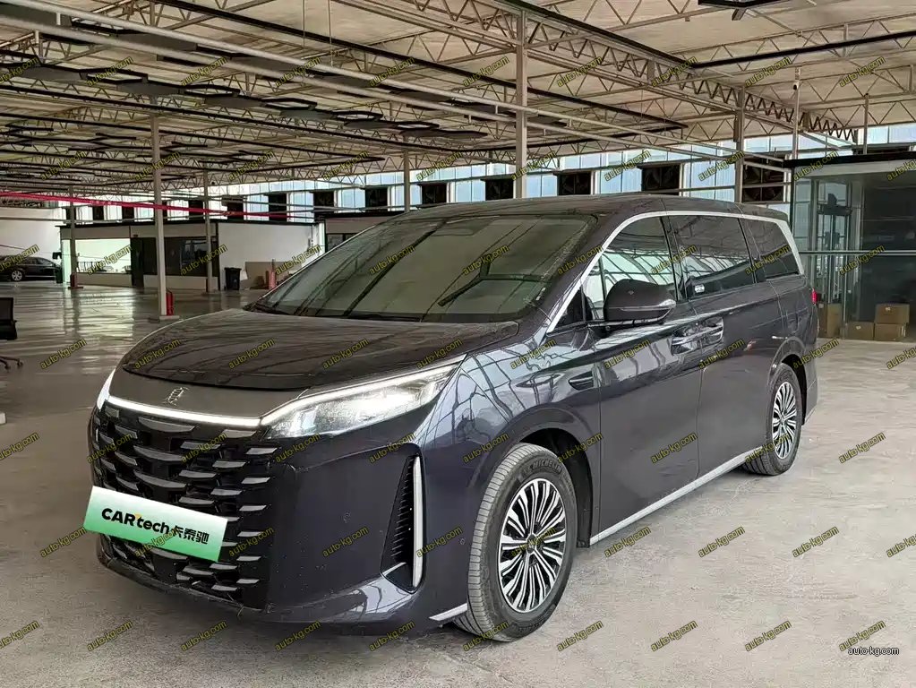 BYD Xia 2025