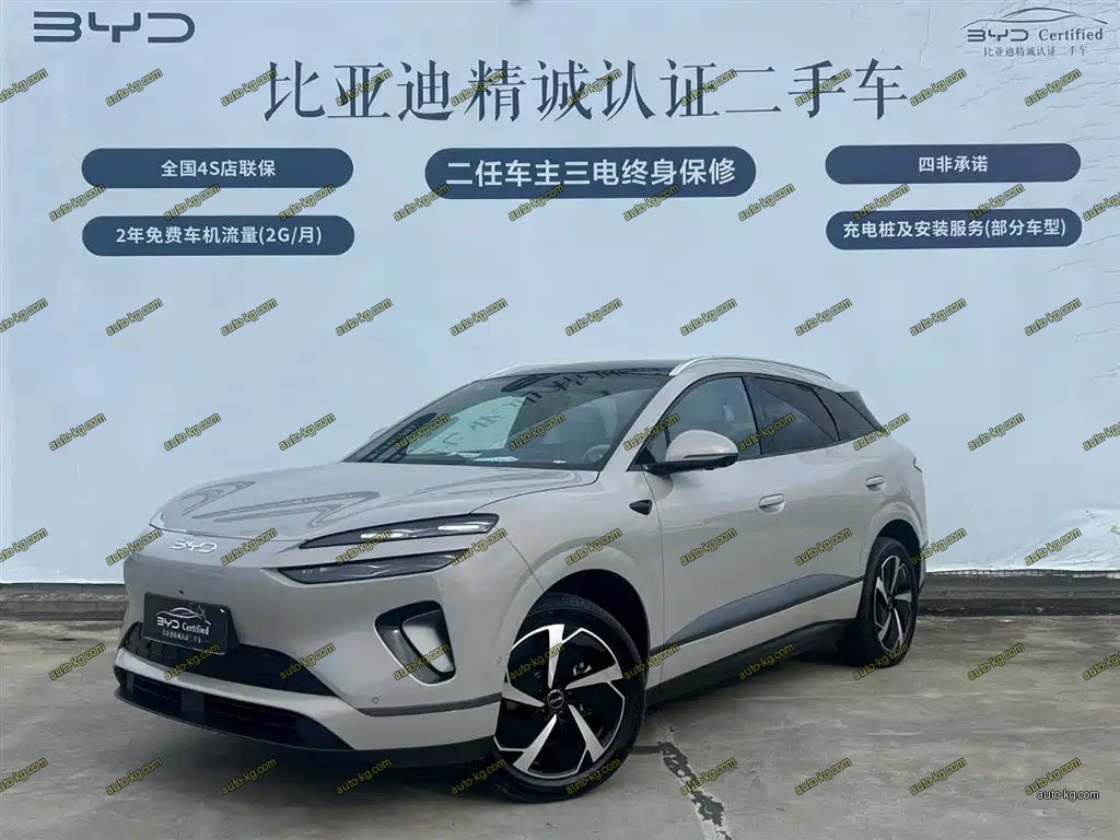 BYD 海狮06 2025
