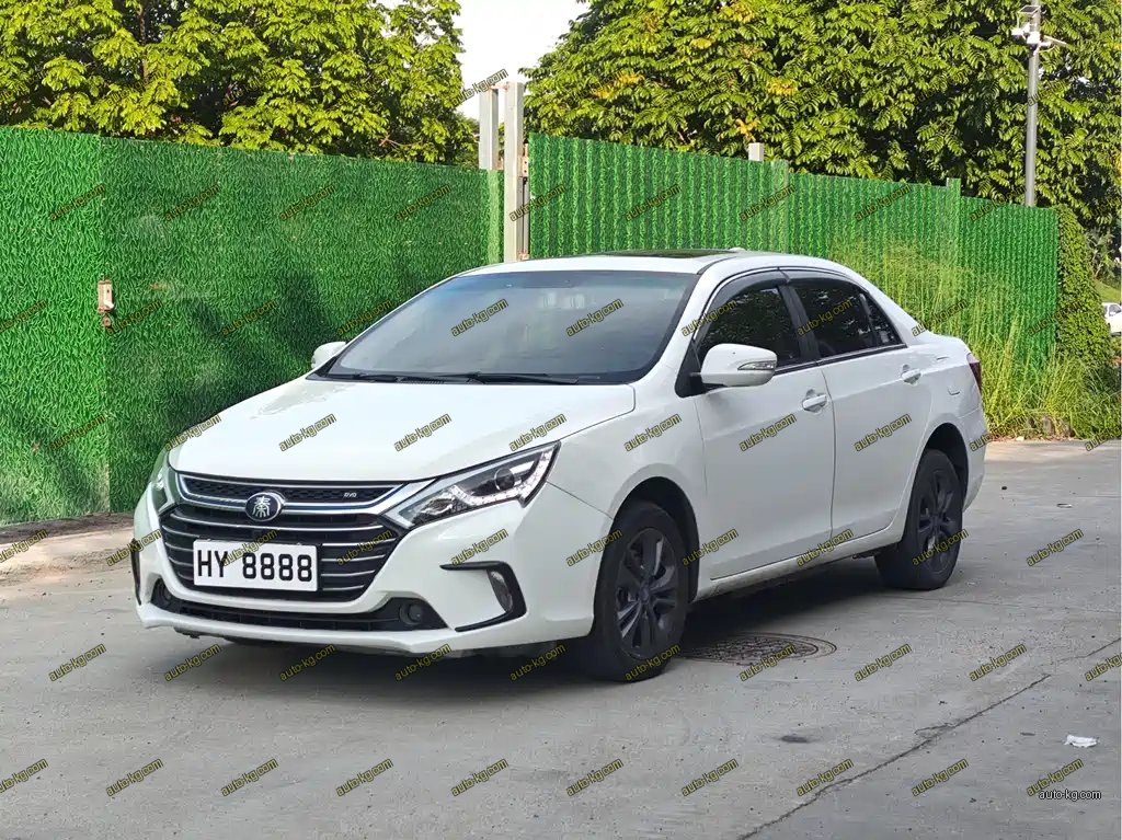 BYD Qin NEV 2018