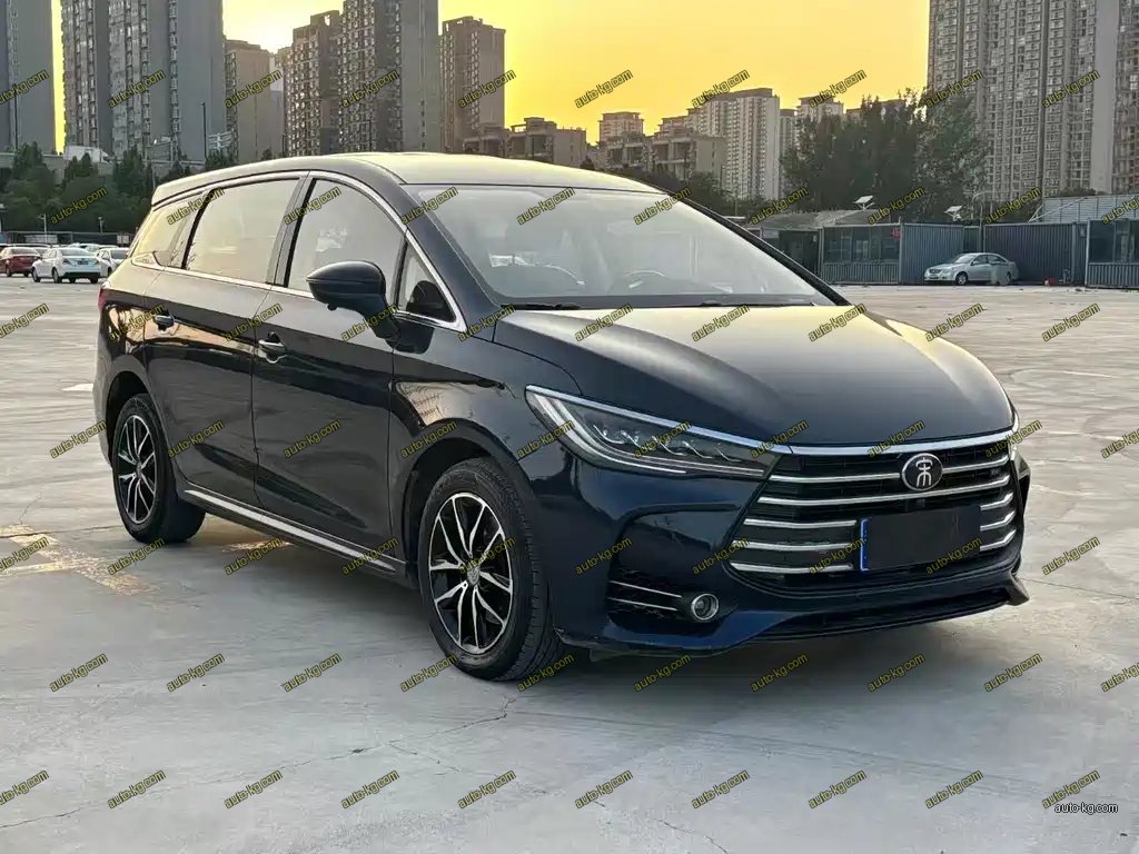 BYD MAX 2017
